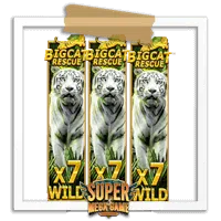 Wild-Big Cat Rescue