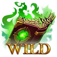 Wild Symbol